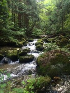 都幾川　渓流釣り